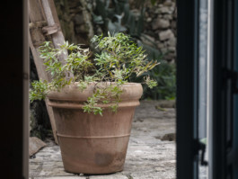 Il Corvo di Pietra – Boutique Home Vacations in Sicily.