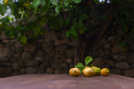 Il Corvo di Pietra – Boutique Home Vacations in Sicily.